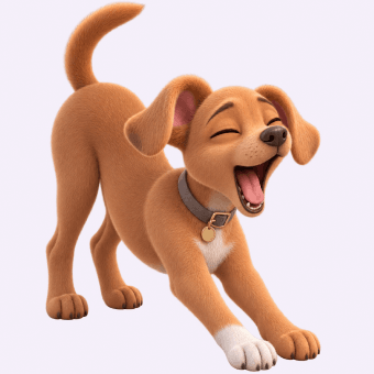 Excited puppy stretching during evening zoomies.