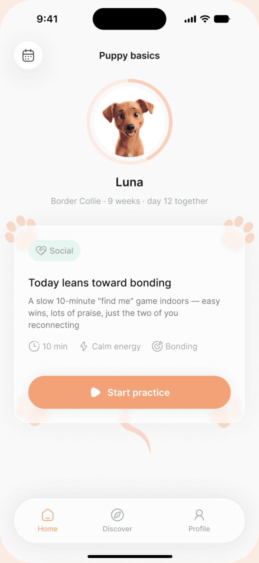 Two phones showing a Pupchi plan and an illustrated daily practice.