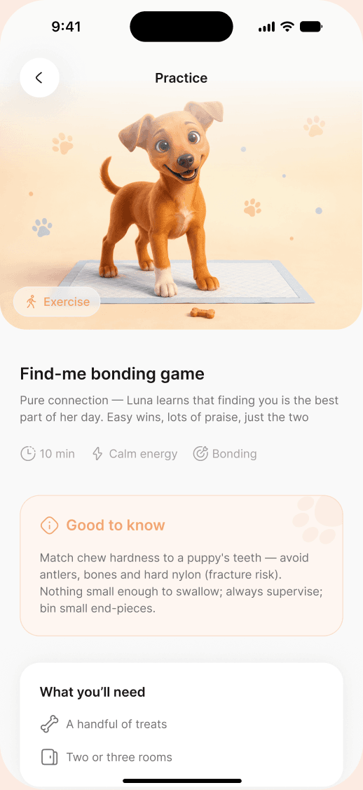 Two phones showing a Pupchi plan and an illustrated daily practice.